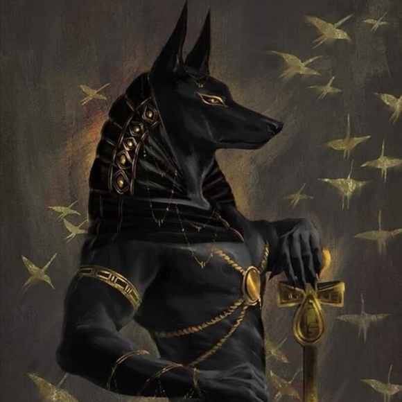 🖤Welcome🖤 - Picture 13 of 13